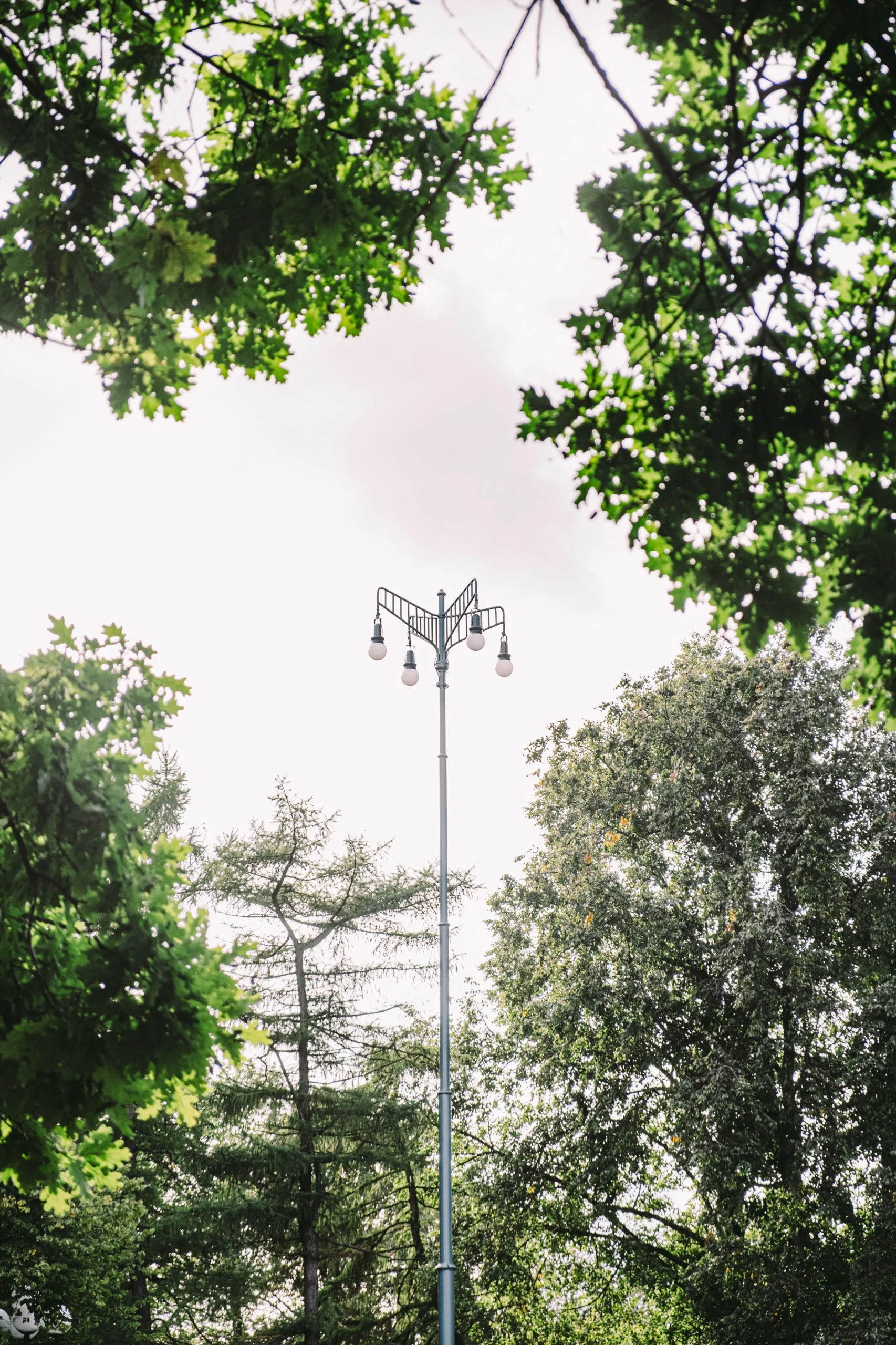 A view from the ground up to a historical outdoor space lighting design fixture in public park area surrounded by trees