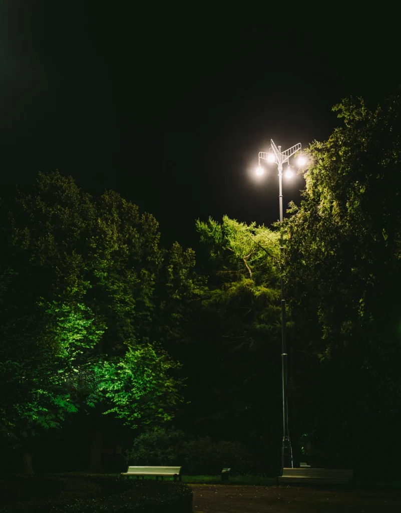 A view of a historical energy-efficient outdoor space lighting design in a public park area with trees at night.