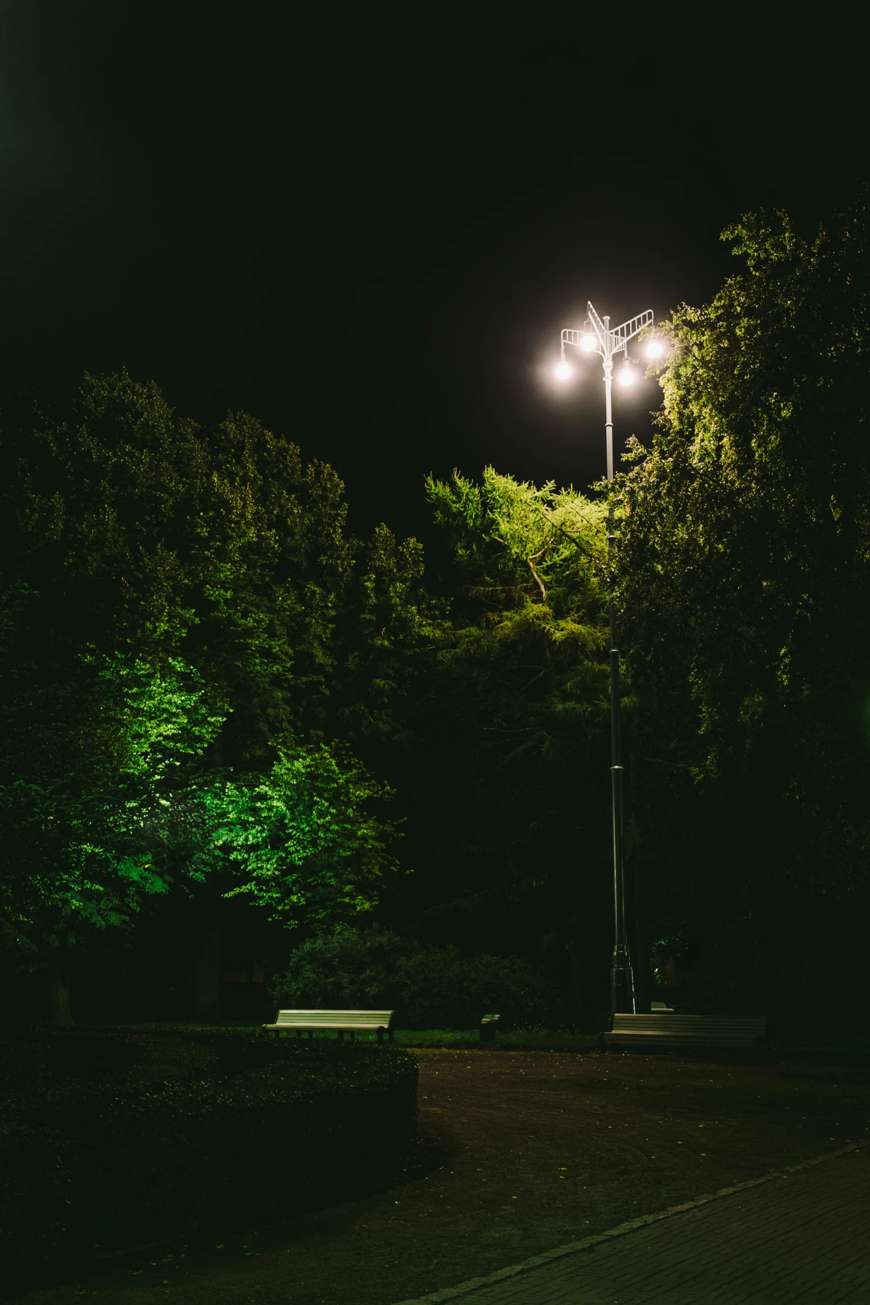 A view of a historical energy-efficient outdoor space lighting design in a public park area with trees at night.