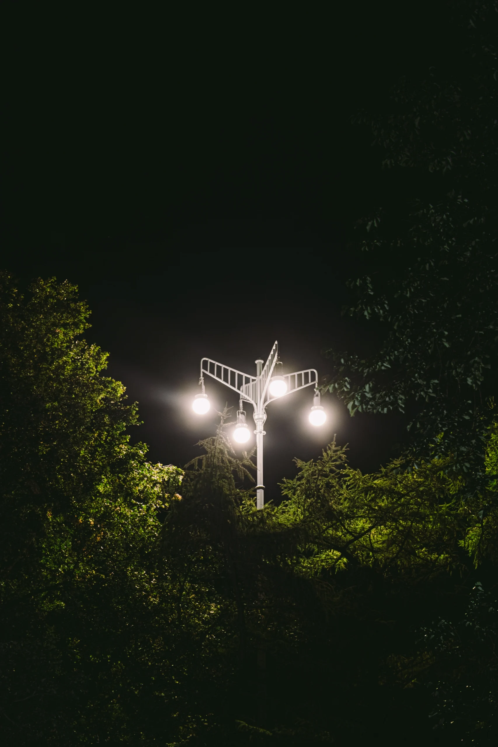 A view from the ground up to custom-made LED lighting for public spaces at night.