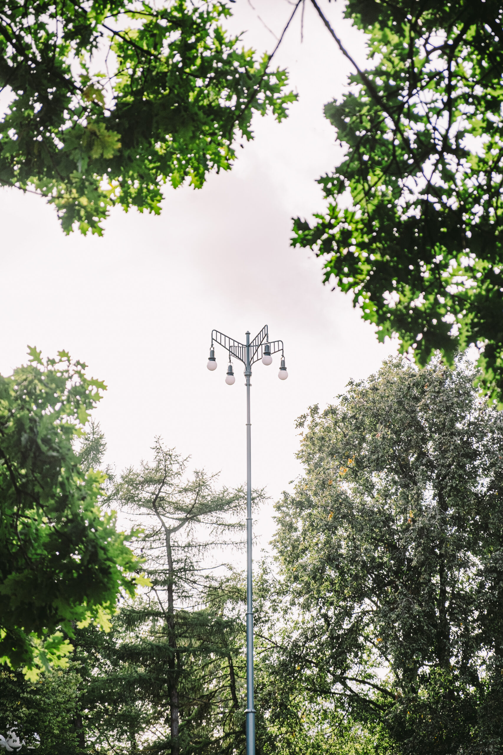 A view from the ground up to a historical outdoor space lighting design in public park area surrounded with trees