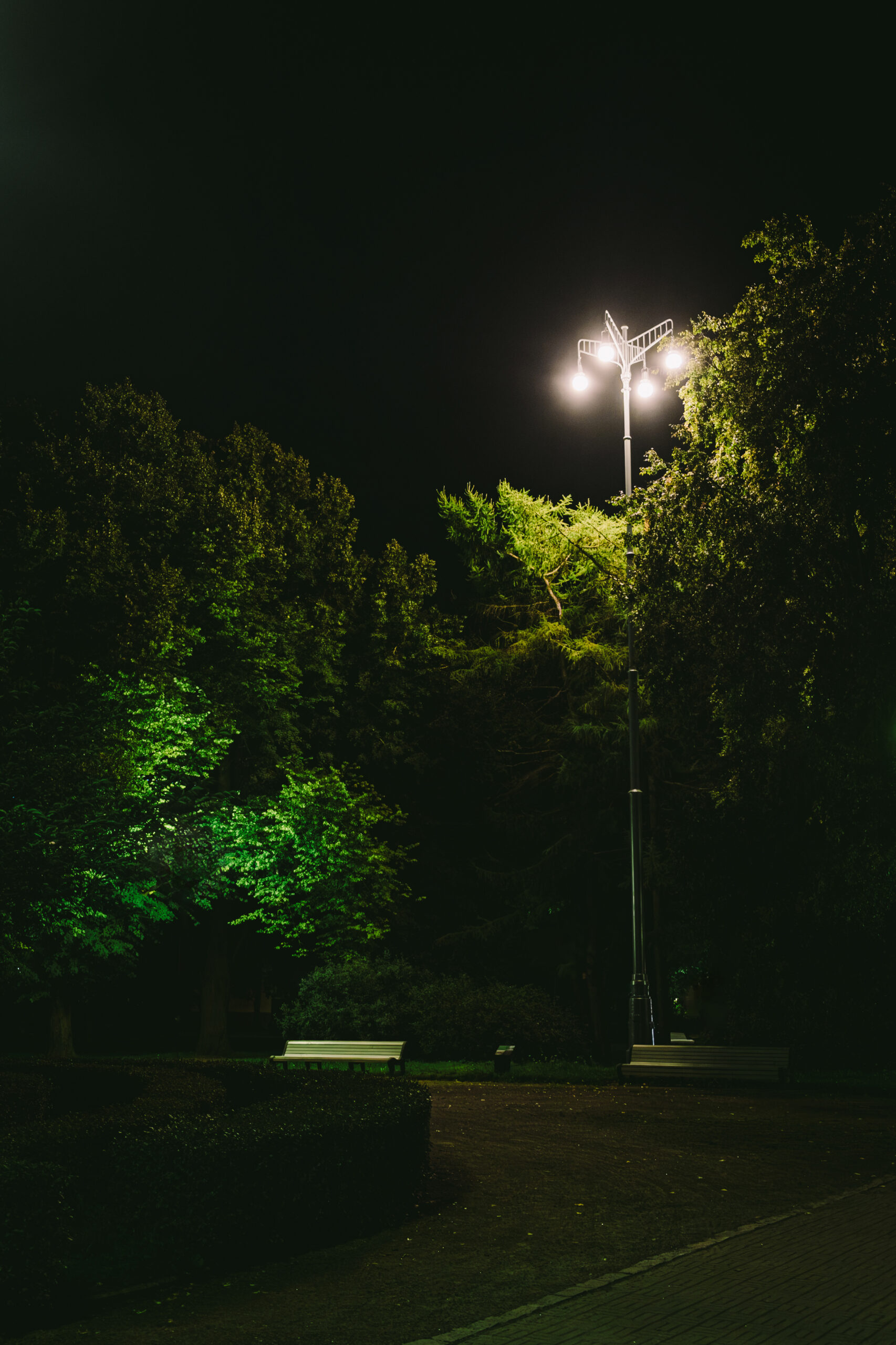 A view of a historical outdoor space lighting design in public park area with trees in at night.