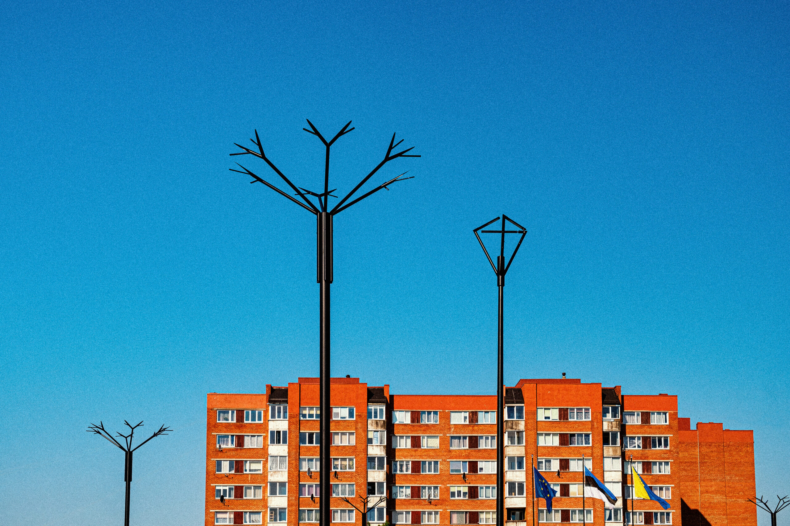 Looking up at Cornflower branching poles and a City lamp against deep blue sky, the square's pole-top lighting