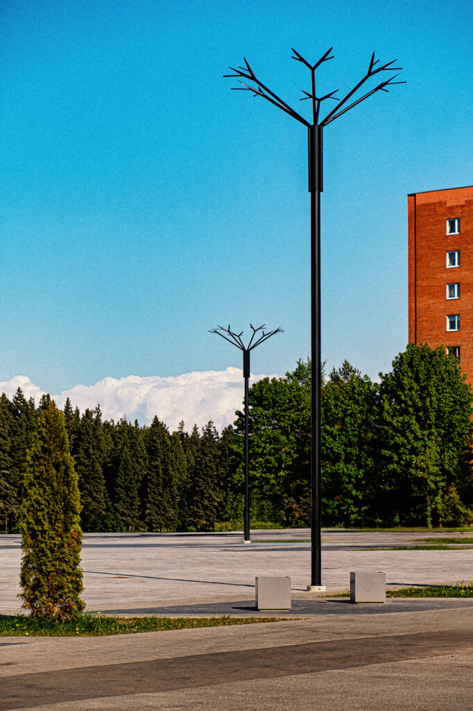 Two Cornflower poles stand against a conifer treeline in Ahtme, pedestrian street lighting for the square's edge