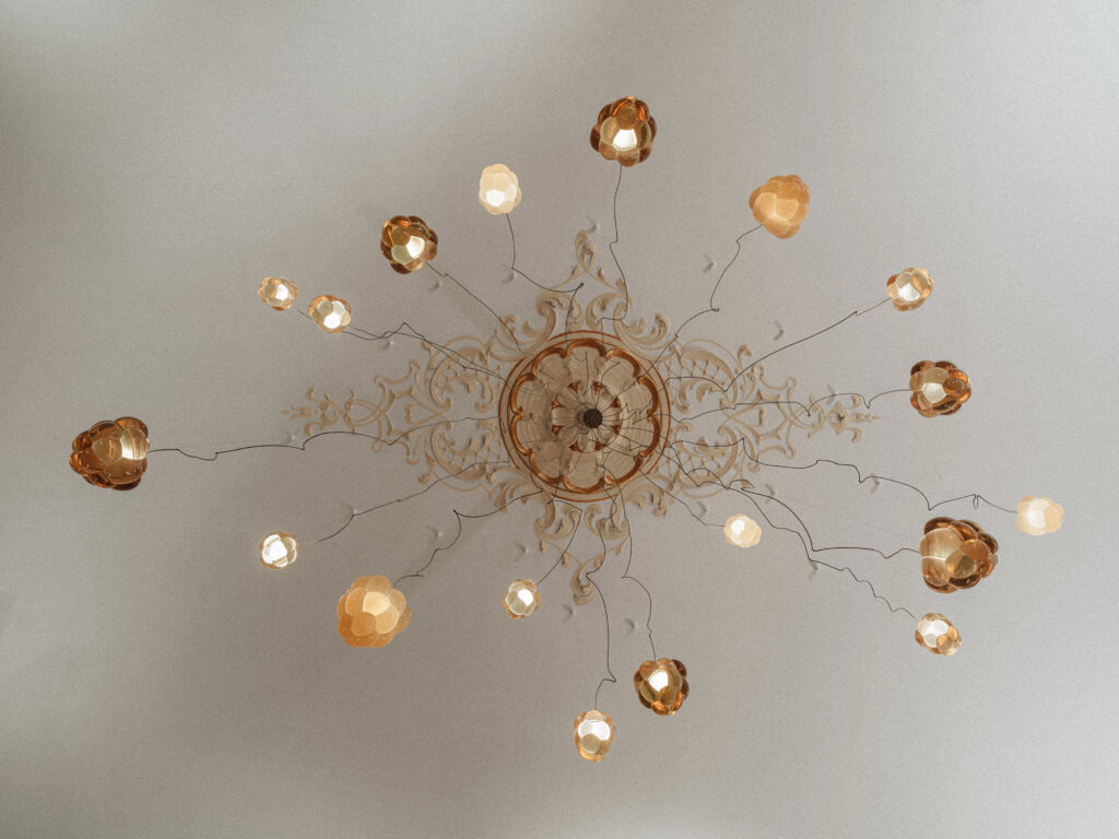 Cloudberry resin forms radiating on cables from an ornate ceiling rose, embassy in Berlin