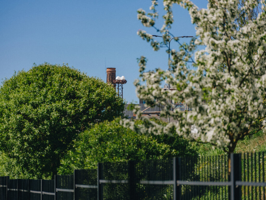 Nest on its tower seen over blossoming trees in spring, Noblessner, Tallinn