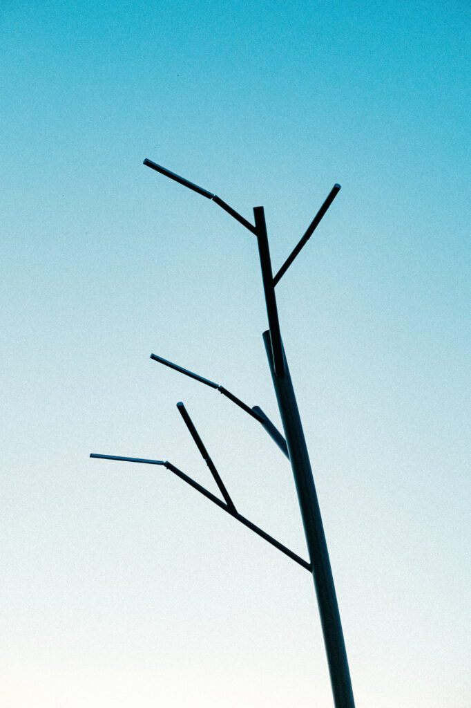 Bare-branch head of the Tree luminaire with LED tips against a blue sky, Narva
