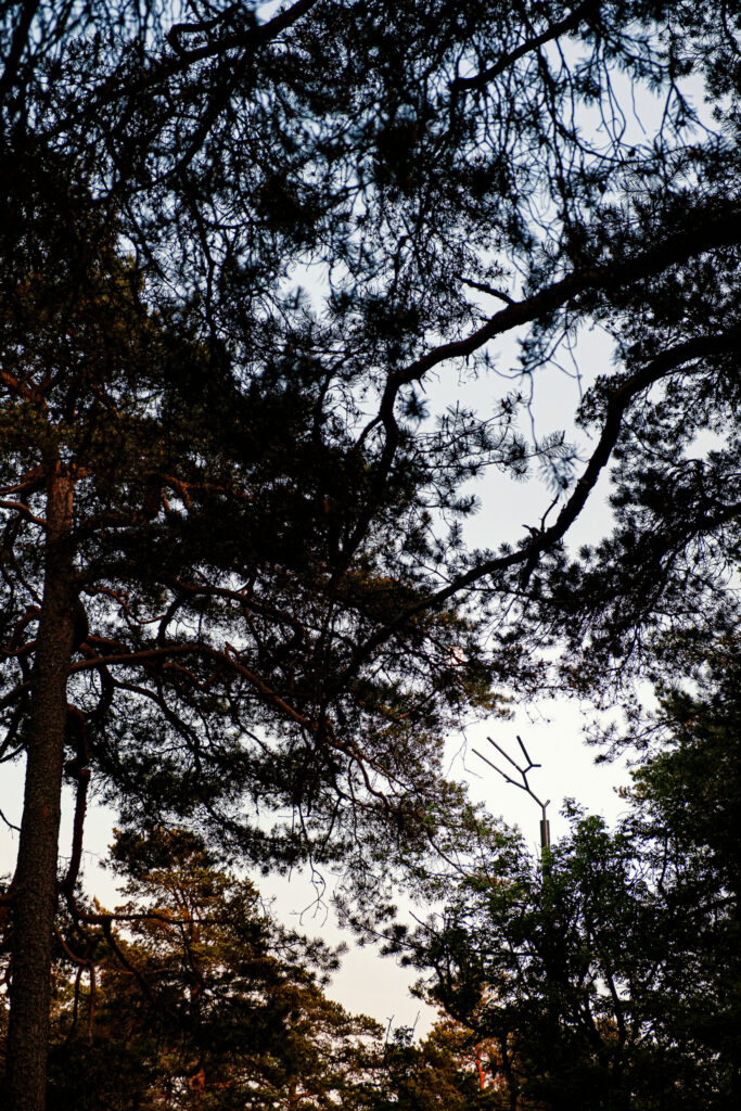 Branch-04