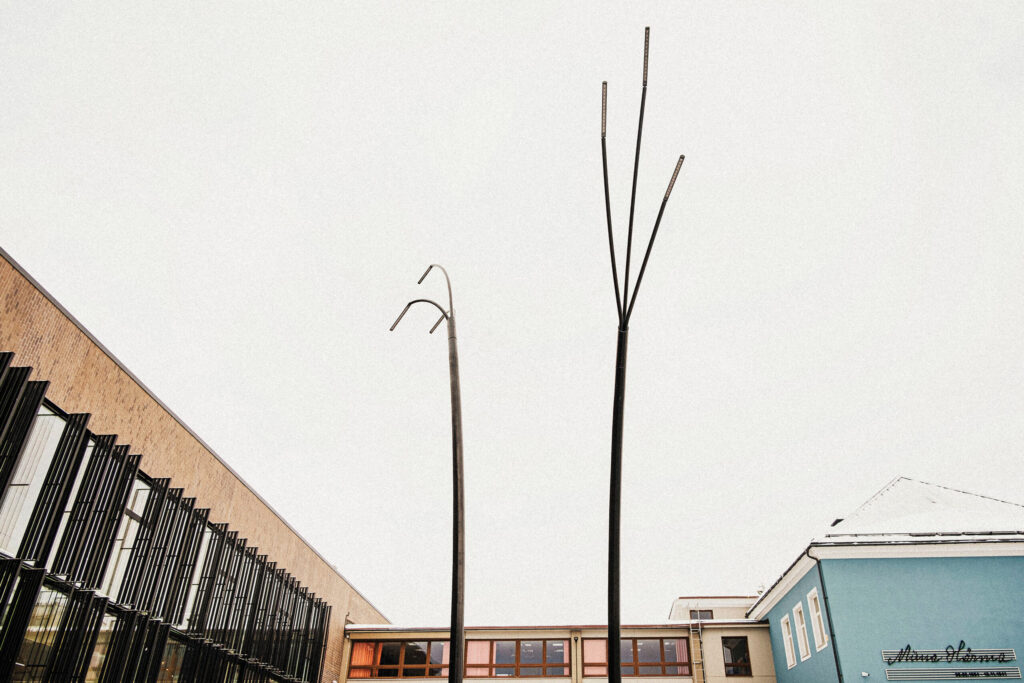 Reed-03