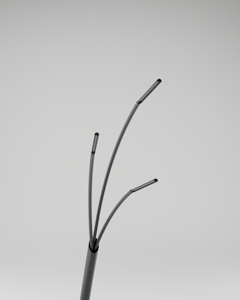 Reed-03