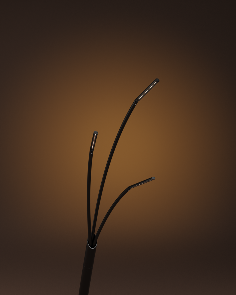 Reed-03