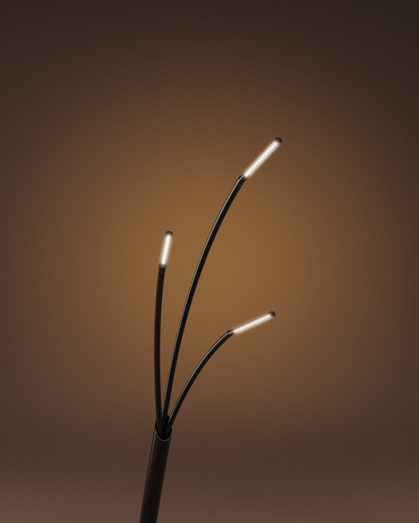 Reed-03