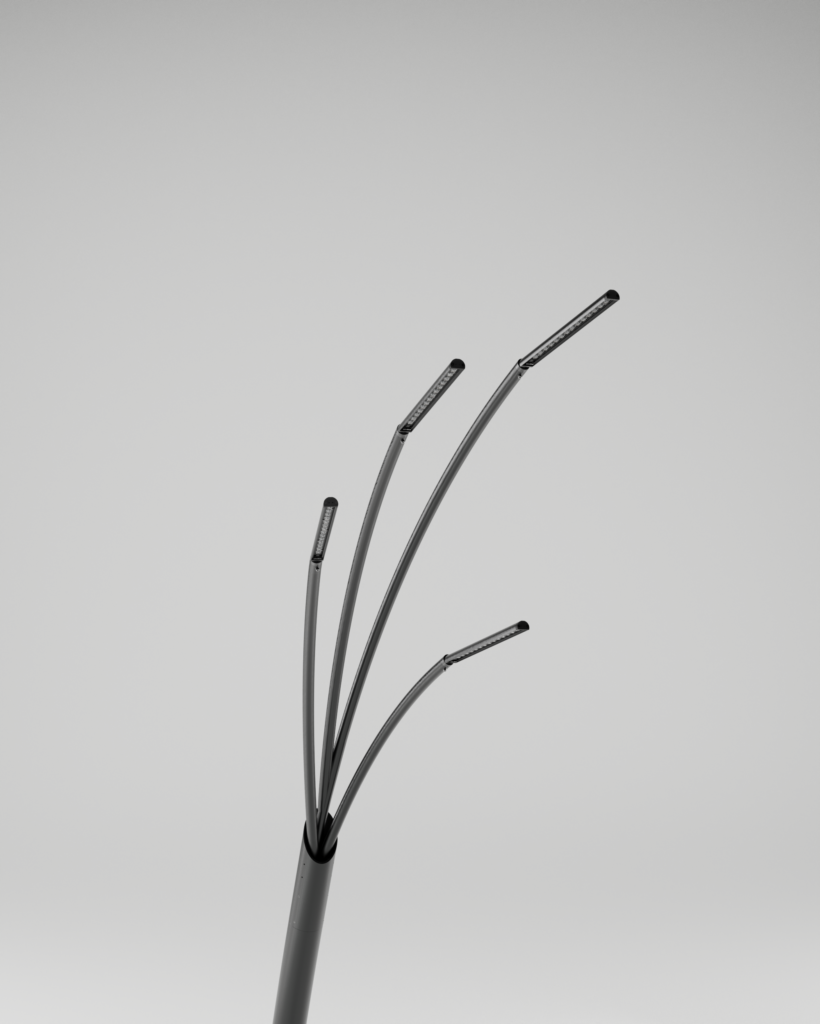 Reed-04
