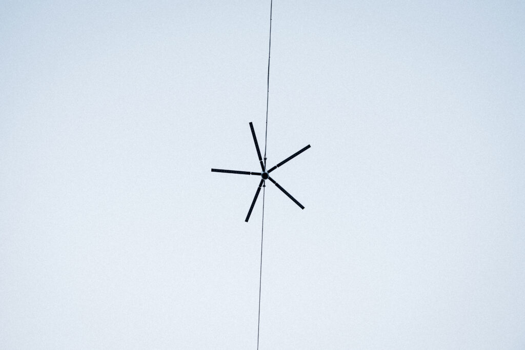 A single Blackbird on its wire, small and dark against a pale sky