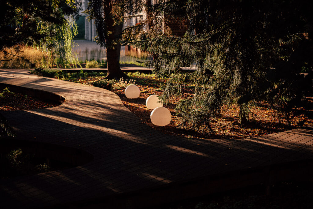 Three Buoy outdoor globe lights in low evening sun beside the curving timber blackbird-catenary-lighting-street-krulli-park-tallinn, under a large conifer