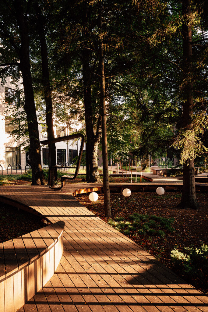Timber boardwalk winding through tall trees in Krulli Park, with a curved seat and three Buoy spheres in the leaf litter