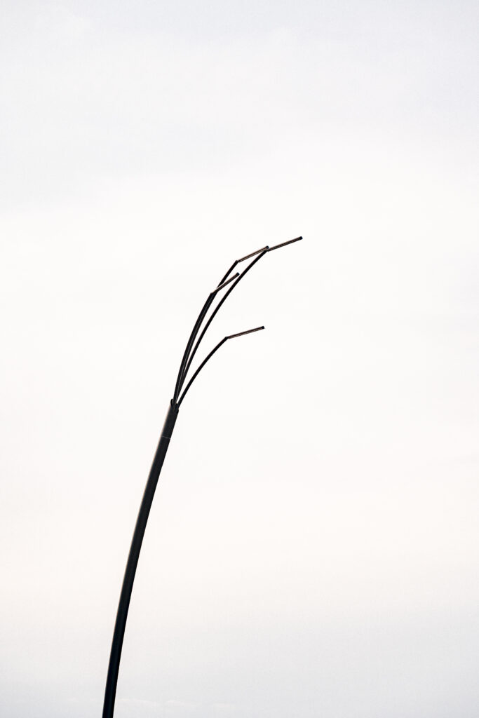 Slender curved pole of a Reed luminaire rising against an overcast sky.